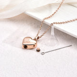 Memorial Necklace for Pets – Heart-Shaped Pendant with Paw Print